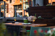 A Young Seagull Standing On A Cafe's Table.