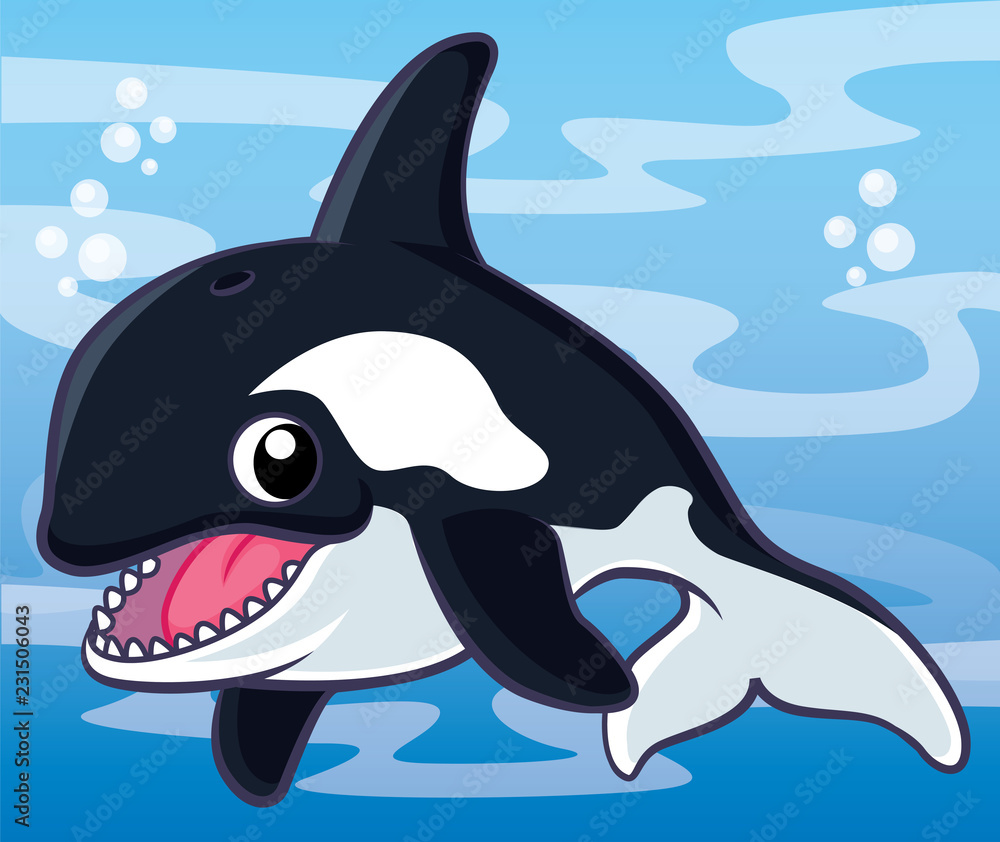 Killer whale cartoon, cartoon cute, animail cute Stock Vector | Adobe Stock, image size:1000x842