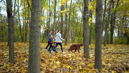 Wall Mural - Happy close-knit family walks through the autumn Park with the dog Irish setter. The concept of a close-knit family.