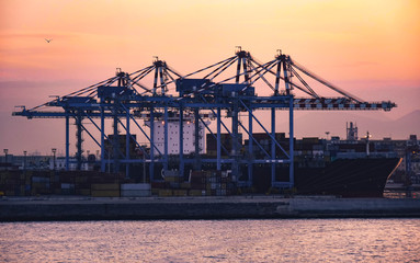 Wall Mural - Port of Naples at dawn seen from the sea