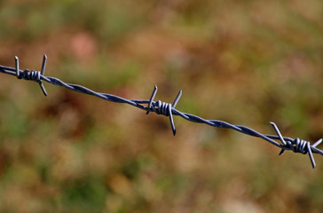 Close-up of barbed wire protecting a field near the border