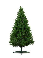 real christmas tree, isolated on white background.