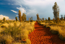Uluru Landscape , Australia