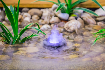 A pond in the interior, a small fountain with color illumination, landscape design of a small pond