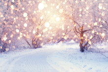 Winter Holiday Illumination
