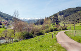Fototapeta Na ścianę - Mountains of Asturias in Spain