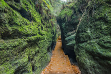 Gorge Overgrown With Moss Over A Narrow Rocky Path