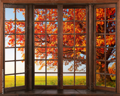 Fototapeta do kuchni 3d window view. Beautiful view of nature from the window.