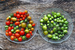Rote und grüne Tomaten. Grüne Tomaten nachreifen lassen. 