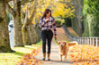 Woman walking golden retriever dog in Fall leaves