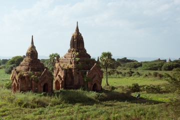 temple temple