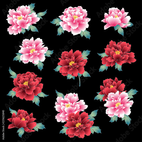 日本的な牡丹花 Stock Vector Adobe Stock