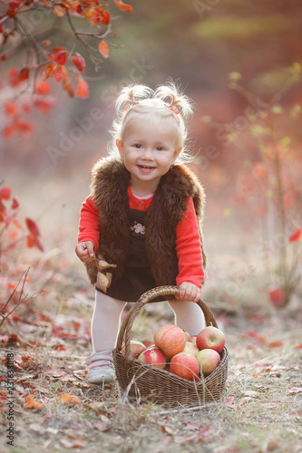 Child picking apples in autumn.Little baby girl playing in apple tree orchard.Kids pick fruit in a basket.Outdoor fun for children.Little girl with basket full of ripe apples in autumn garden.Portrait - Buy