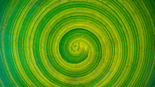 Green Background, Green Circle, Circle Made From Background