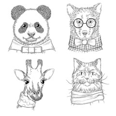 Sticker - Hipster animals. Fashion adult illustrations wild animals in various clothes vector hand drawn sketches. Animal hipster wild panda and cat, bear and giraffe