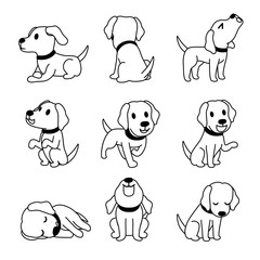 Vector cartoon character labrador dog poses