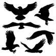 Eagle or hawk silhouettes with broad wings