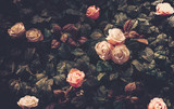 Fototapeta  - Artificial Flowers Wall for Background in vintage style