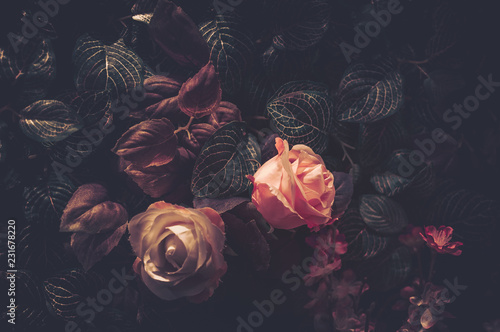 do-sypialni-roze-na-czarnym-tle-w-stylu-vi