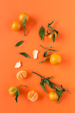 Ripe Tangerines