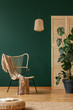© Photographee.eu - Wicker armchair with beige blanket next to monster plant in black pot, real photo with copy space on empty green wall