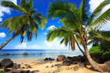Fototapeta Krajobraz - Palm trees in Kauai Hawaii in the morning