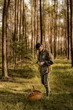 Mężczyzna zbierający grzyby w lesie sosnowym