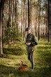 Mężczyzna zbierający grzyby w lesie sosnowym