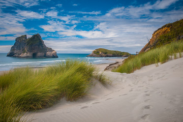 Inviting path Dune vegetation at Famous Wharariki Beach