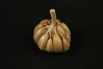 Close up garlic clove side view