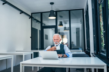 Wall Mural - Successful businessman drinking coffee and using laptop.