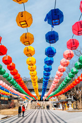 Poster - Colorful lanterns at Donghwasa temple in Daegu, Korea (Translation Buddha's Birthday)