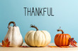 Thankful message with pumpkins on a blue background