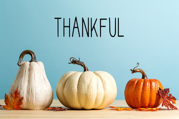 Wall Mural - thankful message with pumpkins on a blue background