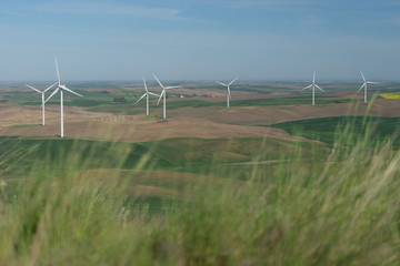 wind turbines in field