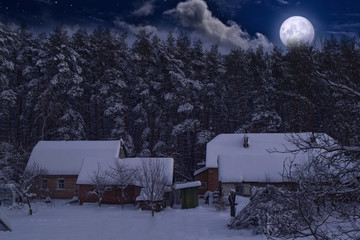 Wall Mural - Full moon in winter, houses and pine forest