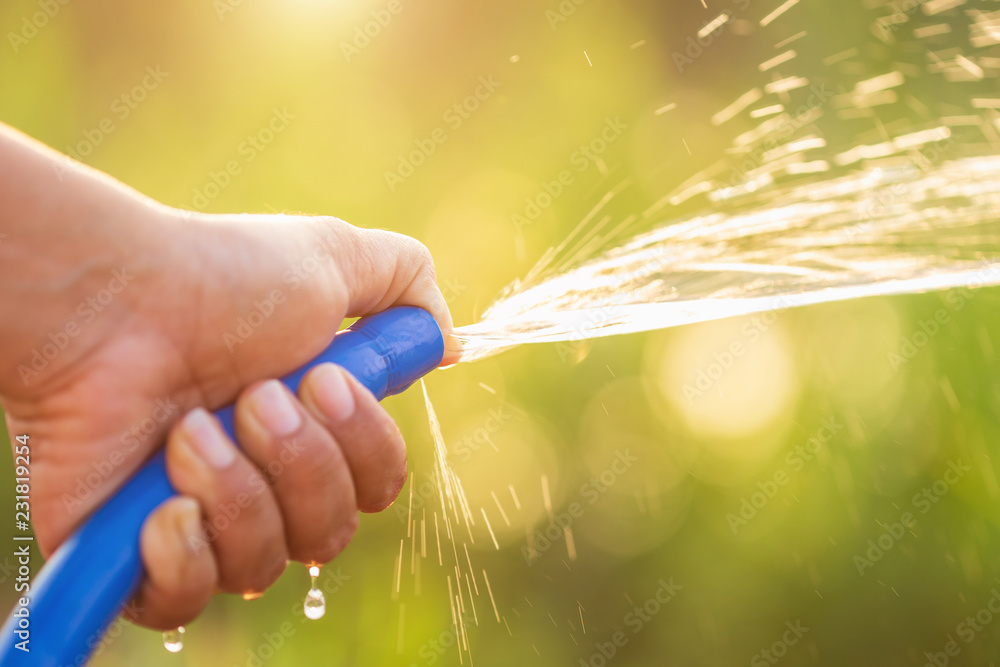 Hand holding water hose and watering to the plant in outdoor garden