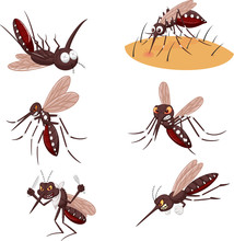 Cartoon Mosquito Collection Set