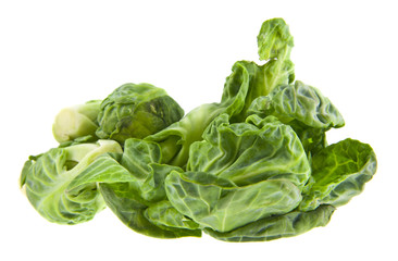 Sticker - brussels sprouts isolated on white background