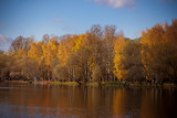 Fototapeta Paryż - Enchanting autumn light in a park vivid rays of gold light falling through the trees unto the ground