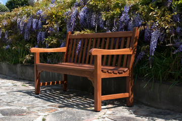 Wall Mural - Sydney Australia, wooden garden bench on front of a wisteria hedge with purple flowers