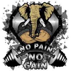 Wall Mural - Vector illustration barbell and strong elephant. No pain - no gain inspirational lettering.