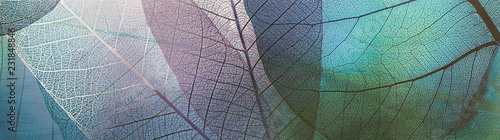 Fototapeta do kuchni abstract pattern with ornamental leaves, decorative ceramic tile