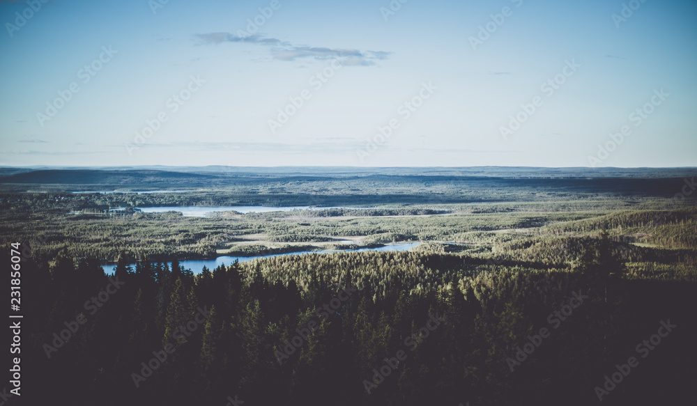 Looking across the forest on Swedish Lapland - obrazy, fototapety, plakaty 