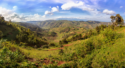 Amazing landscape panorama of african Uganda. Wild and nature in Africa. Beautiful landscape view. Agriculture and green forests and mountains in Uganda.