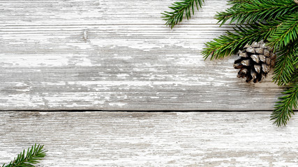 christmas fir tree branches and pine cone background