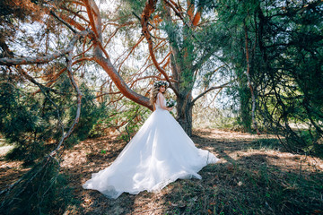 Wall Mural - beautiful bride in nature in a coniferous forest in a wreath on her head and a luxurious wedding dress