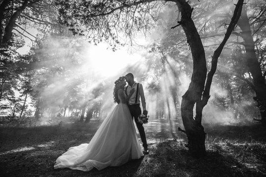 bride and groom on the background of fairy fog in the forest. Rustic wedding concept