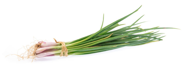 onion spring isolated on white background