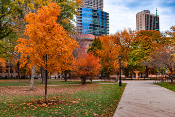 washington square park in chicago walkway during autumn